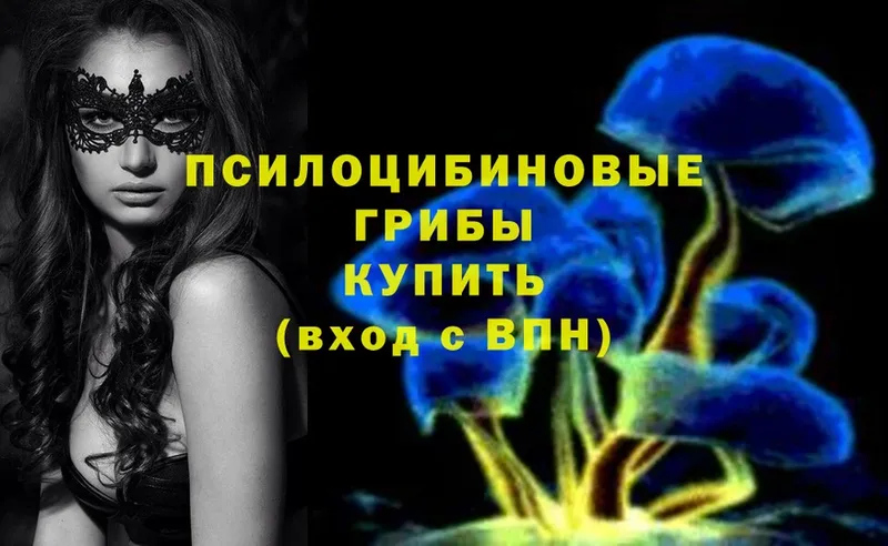 Галлюциногенные грибы Psilocybine cubensis  хочу   Сегежа 